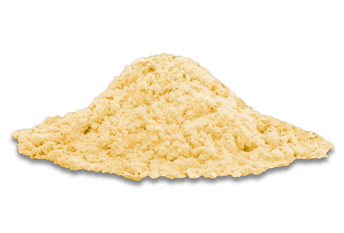 Nutmeg Extract Powde