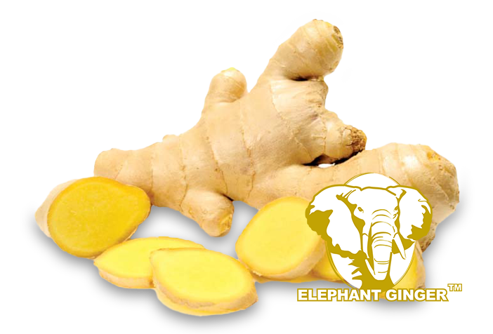 ORIGINE Elephant Ginger