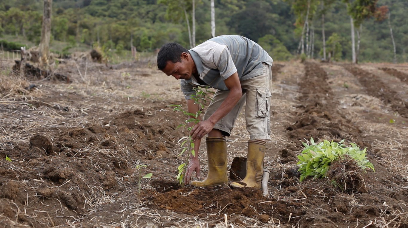 Odoo • A picture with a caption