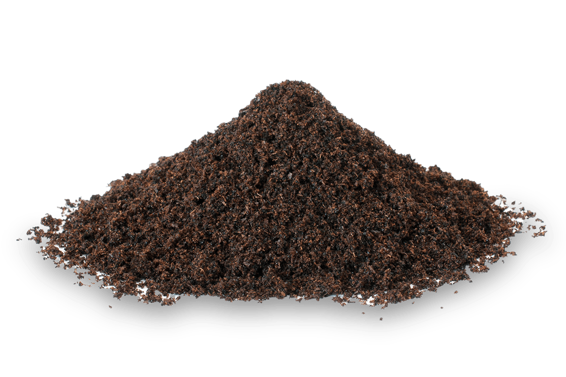 Tripper’s unadulterated ground vanilla