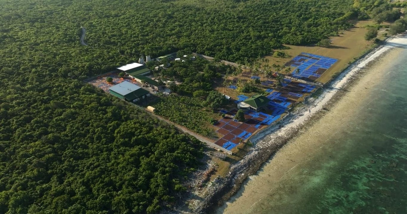 Tripper’s Selayar Facility for Collection and Drying