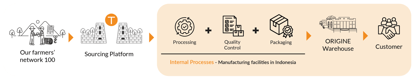 Mongoose Coffee Supply Chain