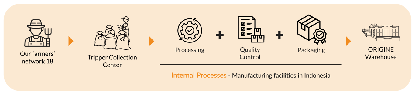 Penyu Ube Supply Chain