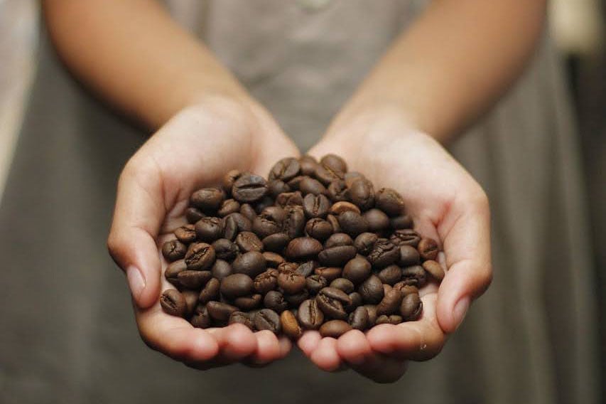 A closer look at what it really takes to grow and source coffee responsibly today