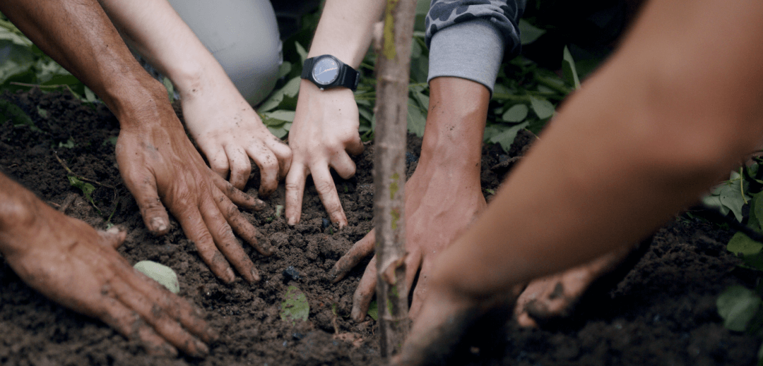 Sustainability claims like Organic and ROC are highly vulnerable to greenwashing. What steps should manufacturers take?