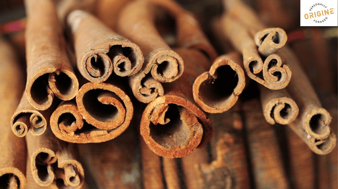 A stack of organic cinnamon quills 