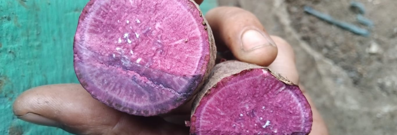 Quality You Can Trust