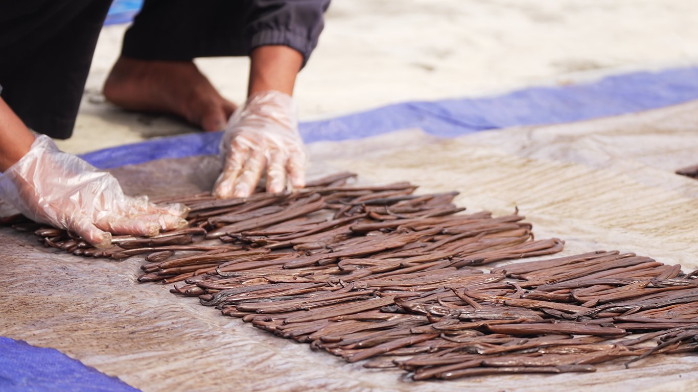 The Intricate Pollination Process of Vanilla Beans