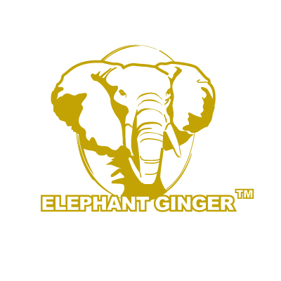 elephant-ginger-icon
