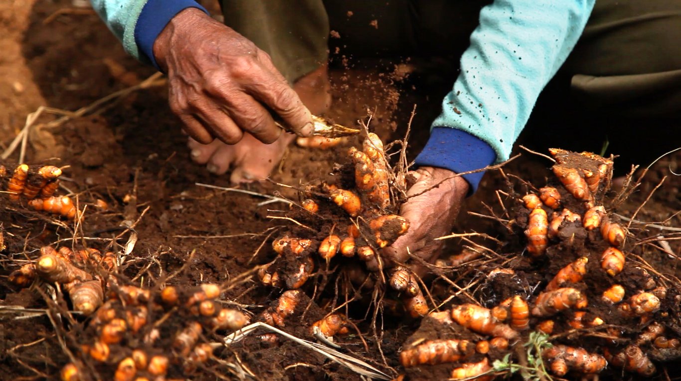 Quality You Can Trust