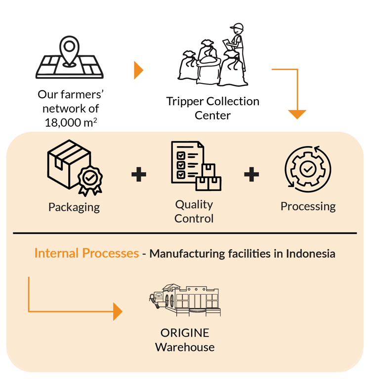 Python Pandan Supply Chain