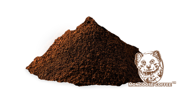 Coffee Extract Powder