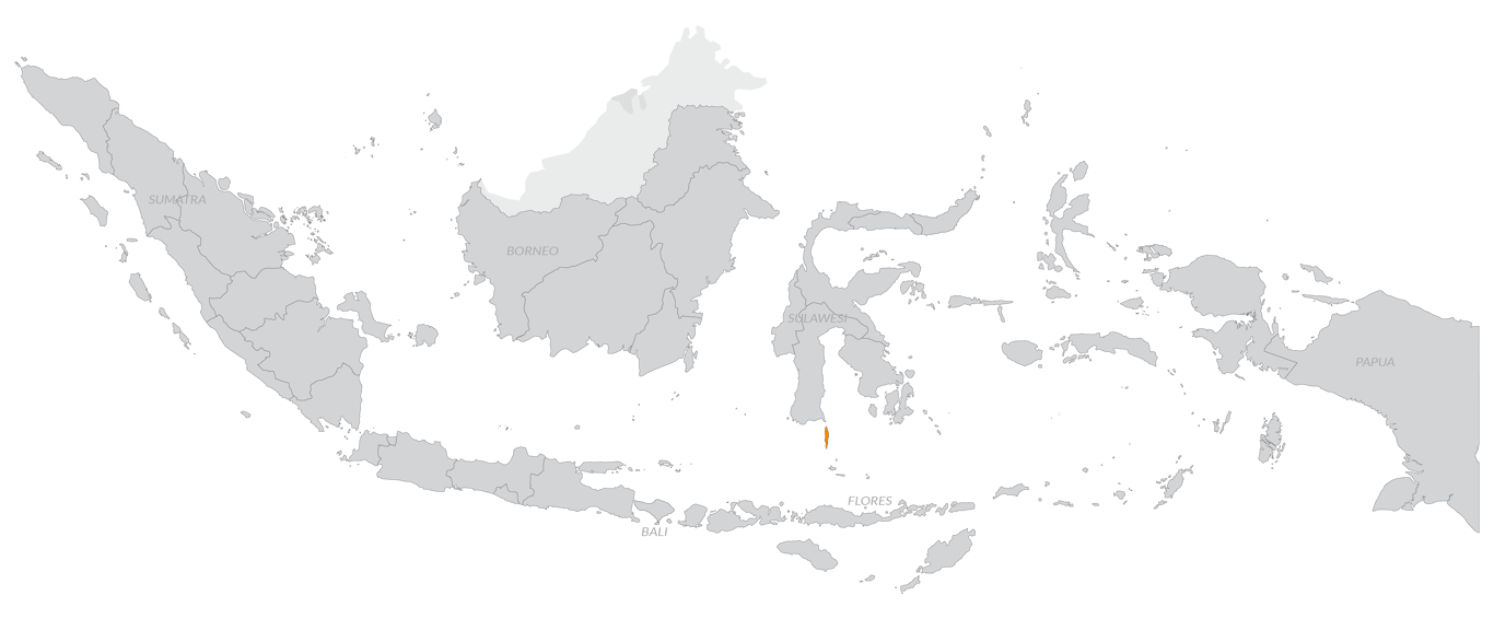 Butterfly Map