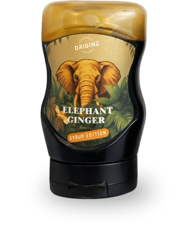 Elephant Ginger