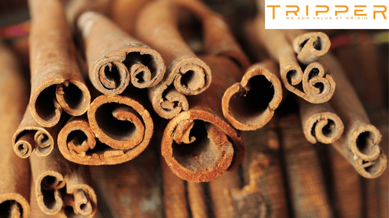 A stack of organic cinnamon quills