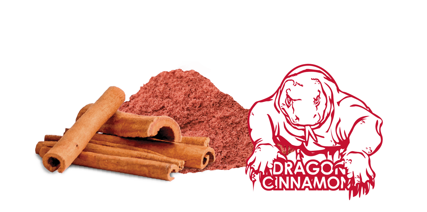 Cinnamon Extract Powder