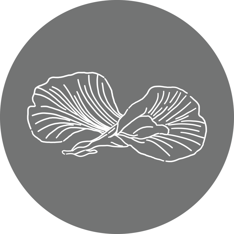 Type Icon