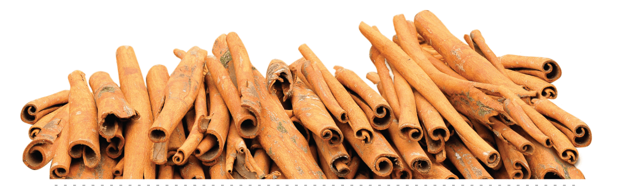 Cinnamon Bark
