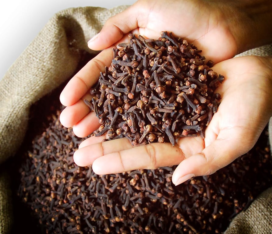 Get to know cloves, an aromatic spice with historical significance in Indonesia