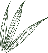 Unique Flavor Icon