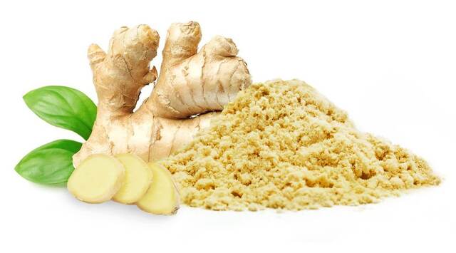 Ginger Extract Powder