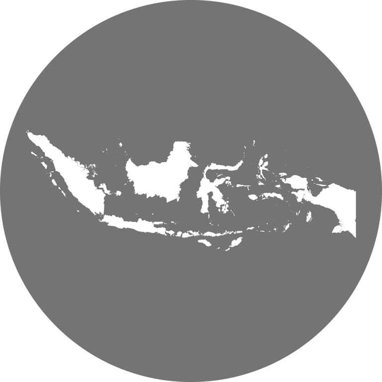 Origin Icon