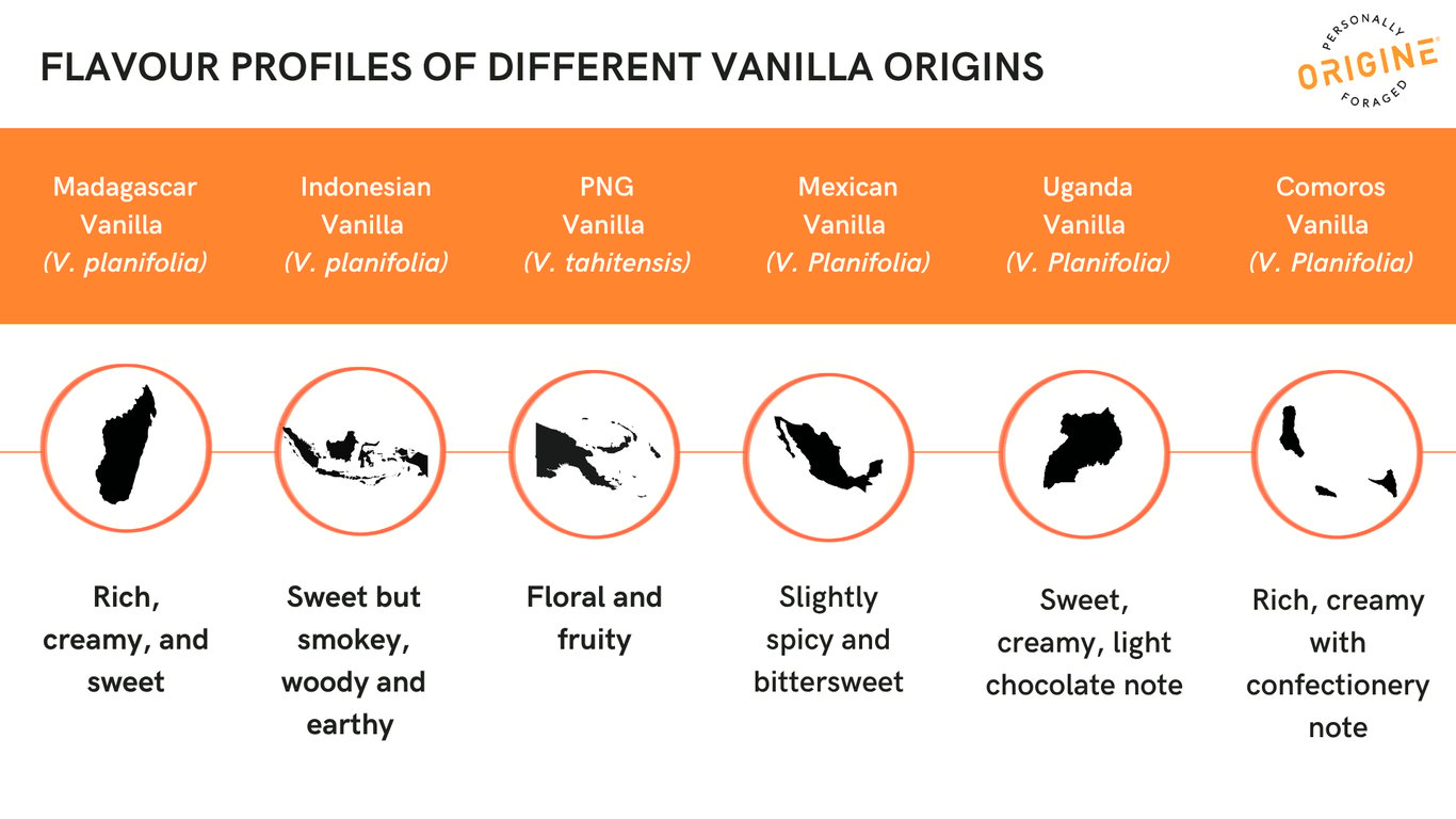 Flavour profiles of different vanilla origins
