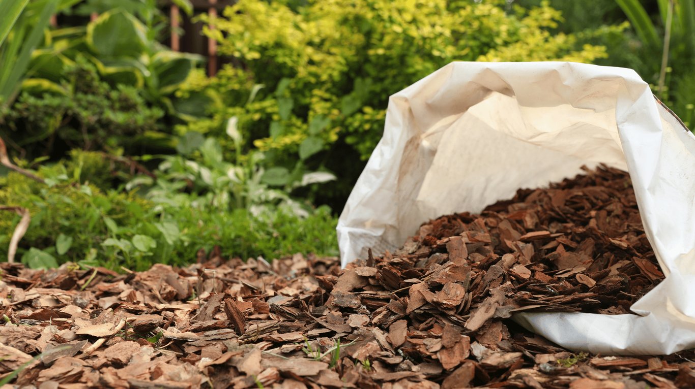 mulch or farmyard compost