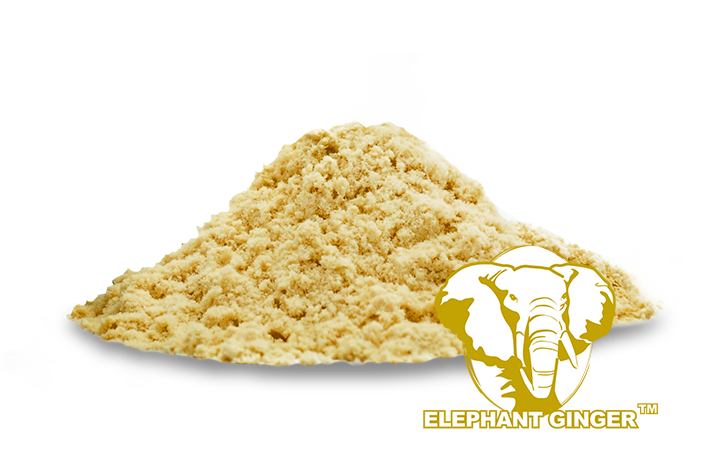 Ginger Extract Powder
