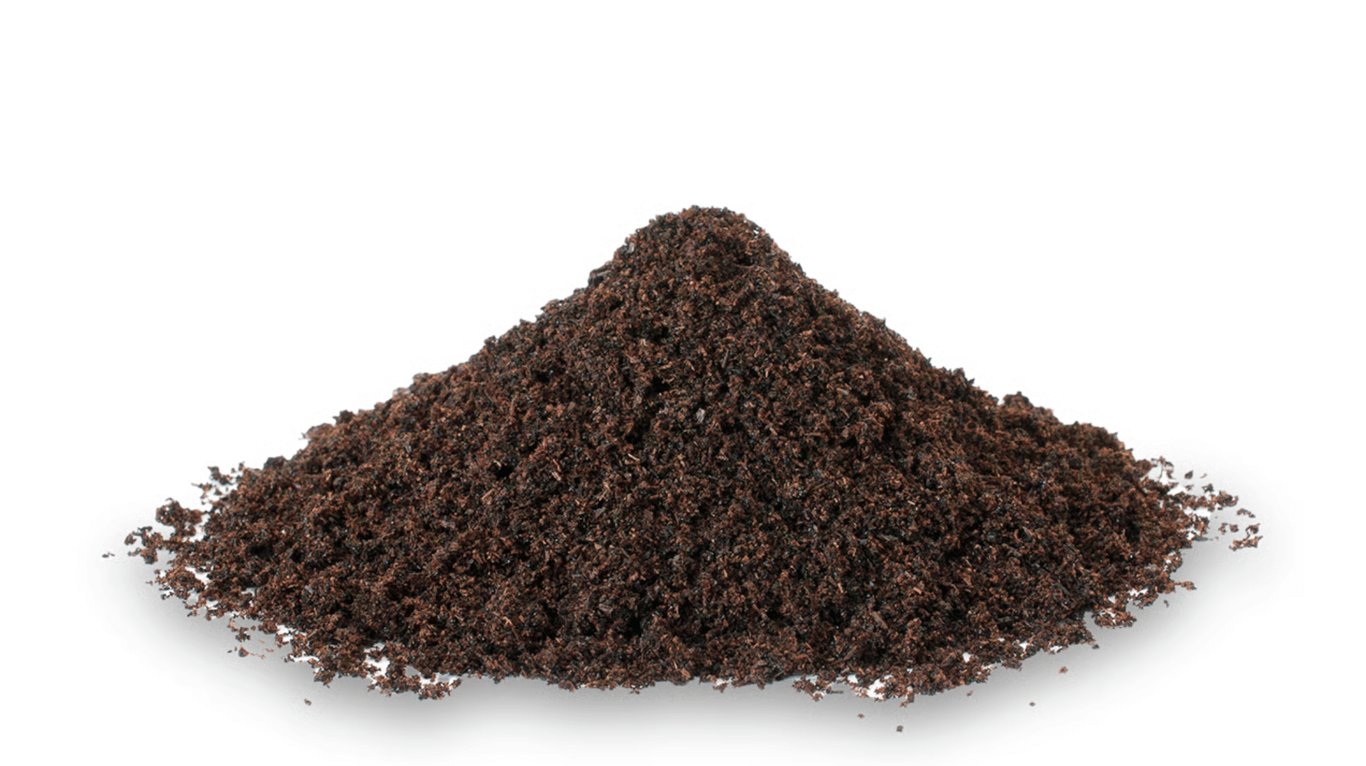 Ground vanilla