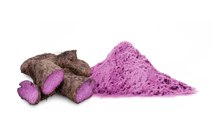 Zimtextrakt in Pulverform