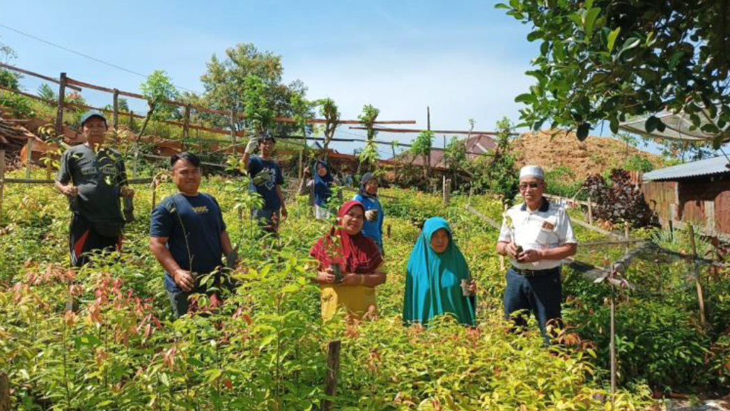 A timeline of ORIGINE’s agroforestry expansion, from 25 ha in 2027 to 80 ha in 2029