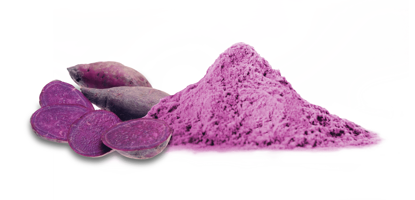 Cinnamon Extract Powder