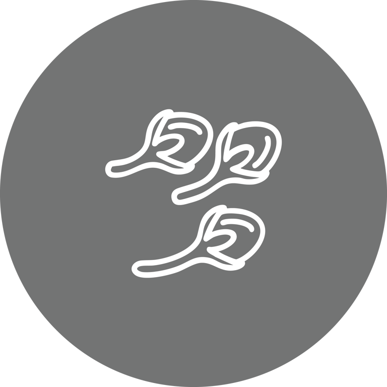 Type Icon