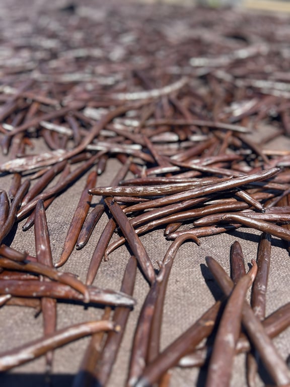 Everything You Need to Know About Dried Vanilla