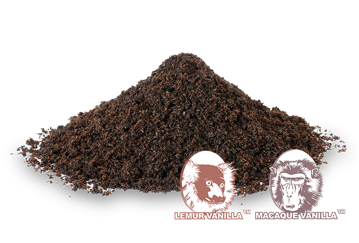 Vanilla Ground