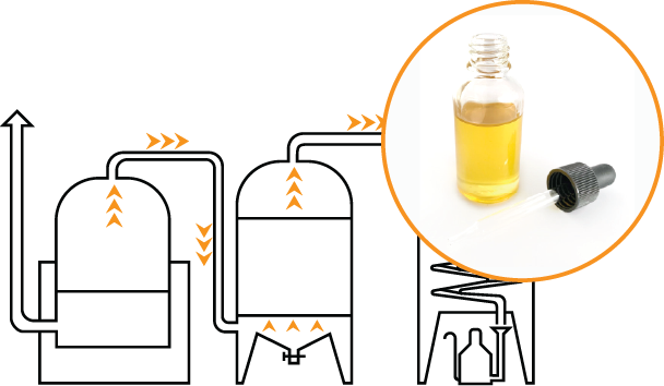 Manufacturing Process - Essential Oils