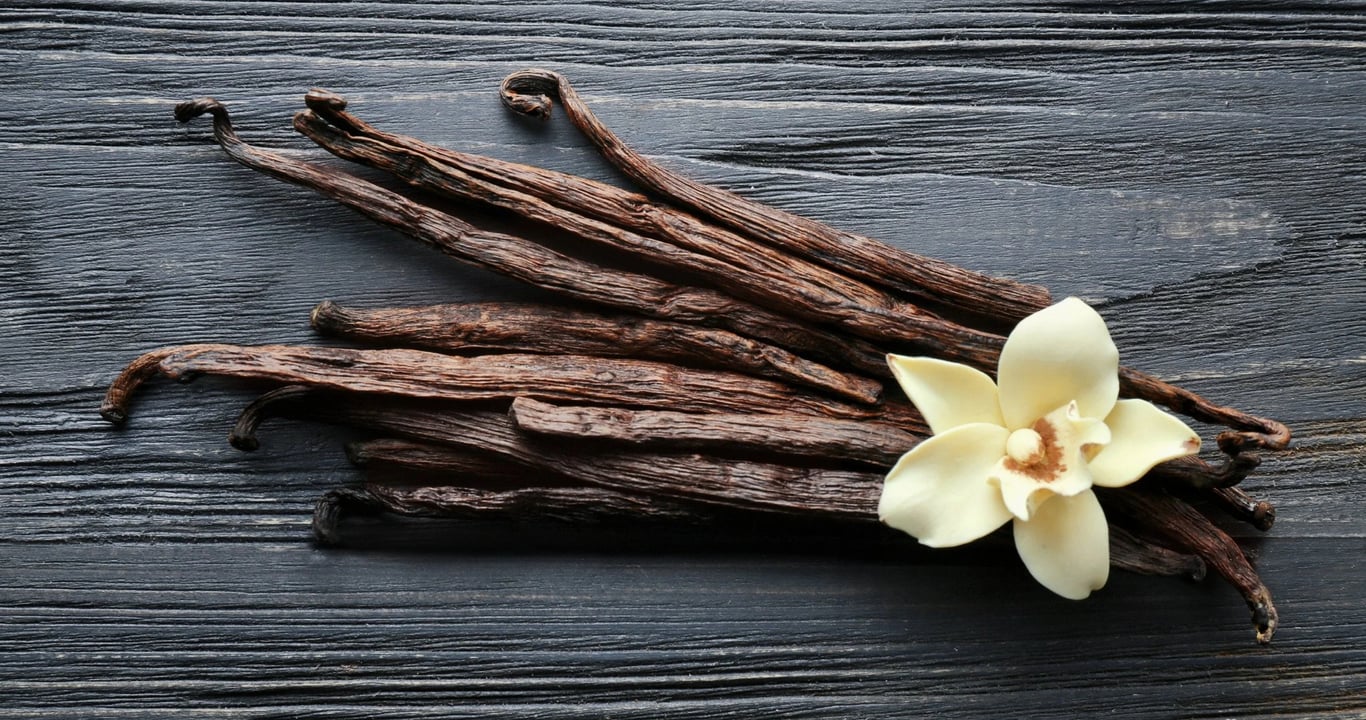 Vanilla Beans and Vanilla-Infused Warm Drinks
