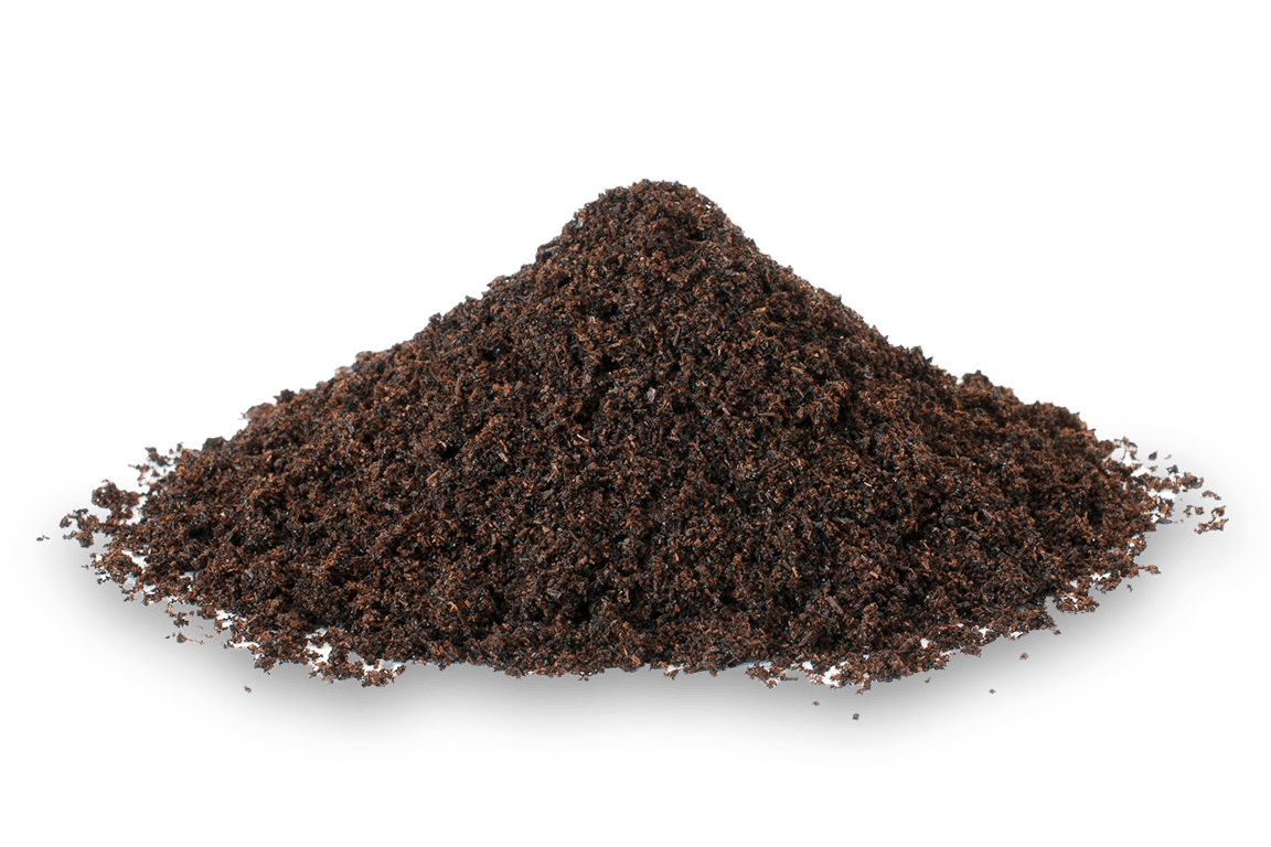 Vanilla Ground