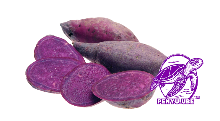 ORIGINE Penyu Ube
