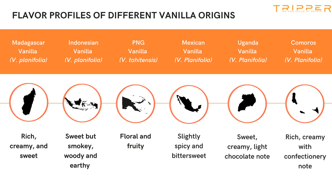 Flavor profiles of different vanilla origins