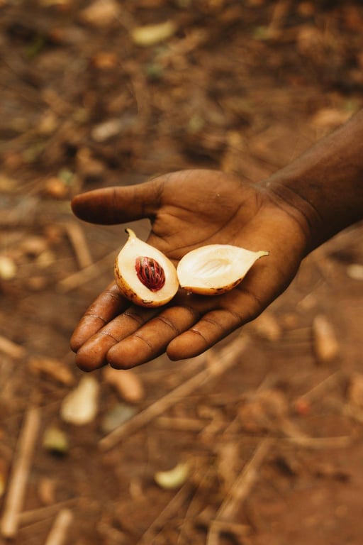 The flesh of nutmeg fruit, containing the seed of nutmeg and mace