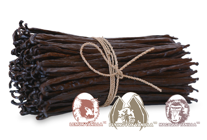 ORIGINE Various Vanilla