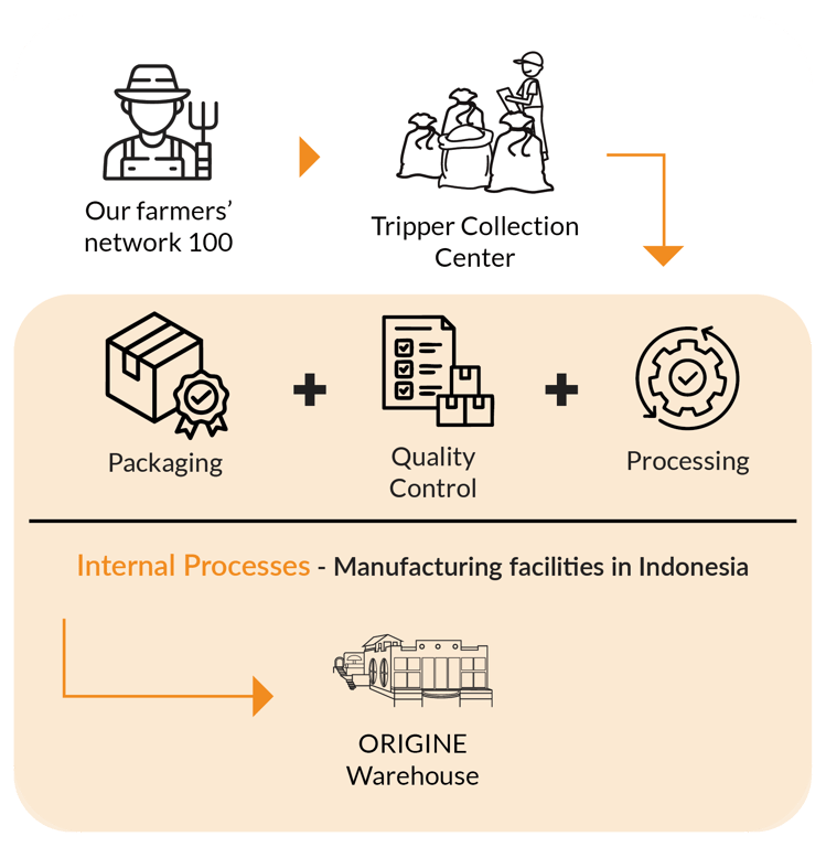 Mongoose Coffee Supply Chain