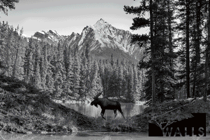 Canadian Rockies Luxury Travel 2026 image 13