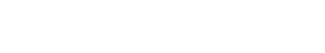 Digital Dolphin