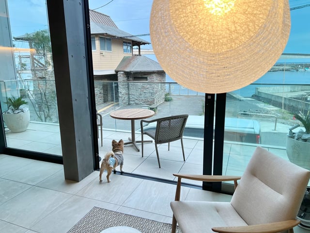 A棟は愛犬同伴可