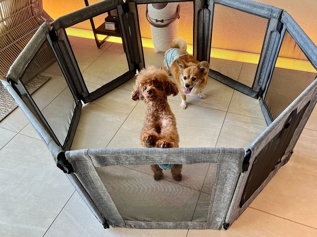 愛犬グッズ完備（A棟）