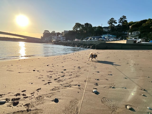 目の前の海（岩海岸）