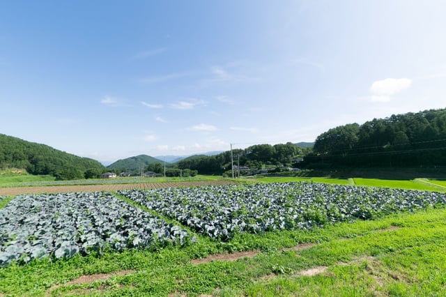 景観